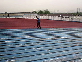 宝运莱·(中国区)官方网站